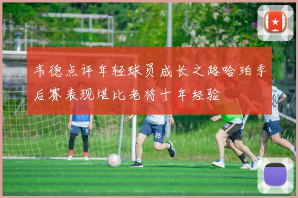 韦德点评年轻球员成长之路哈珀季后赛表现堪比老将十年经验