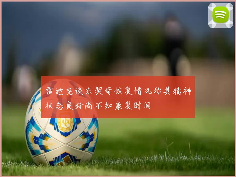 雷迪克谈东契奇恢复情况称其精神状态良好尚不知康复时间